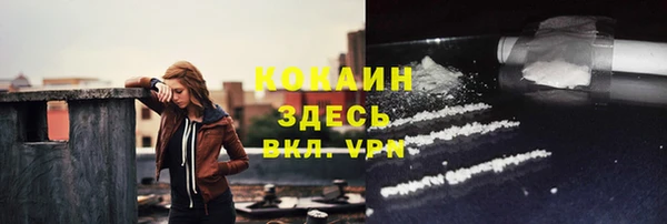 PSILOCYBIN Липки