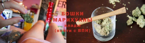 соль ск Лиски