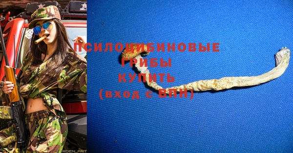 соль ск Лиски