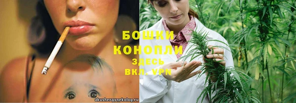 соль ск Лиски
