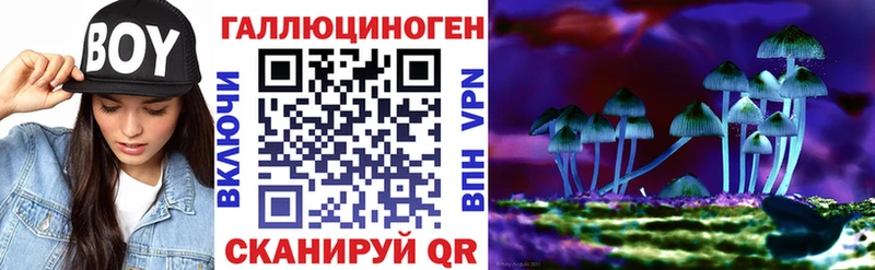 Купить  Сурск  Псилоцибиновые грибы прущие грибы 